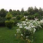Pardisan Hotel Mashhad (7)