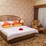 Pardisan Hotel Mashhad Double Lux
