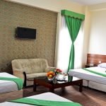 Razavieh Hotel Mashhad (3)