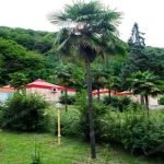 Nahar Khoran Hotel Gorgan (1)