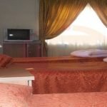 Negin Hotel Bojnord (1)