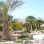 Pars Nik Hotel Kish (4)