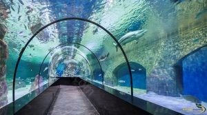 isfahan-aquarium-tunnel-1