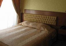 fardis-hotel-tehran-double-room-1