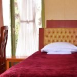 fardis-hotel-tehran-single-room-1