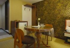 lotfalikhan-hotel-shiraz-one-bed-room-suite