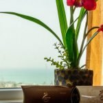 Qeshm eram hotel 3 at Eram Hotel Qeshm