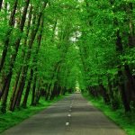 Safrabasteh road 2