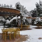 Caravan hotel yazd yard 1 at Caravan Hotel Yazd